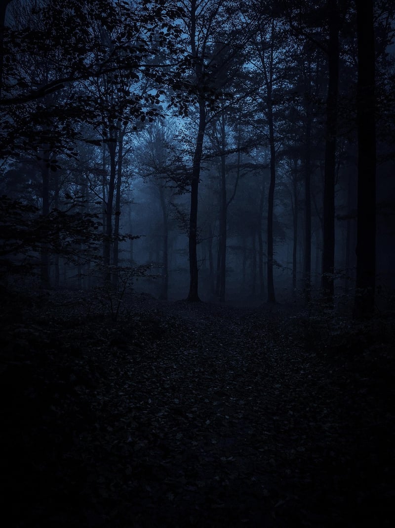 Discover the Unknown